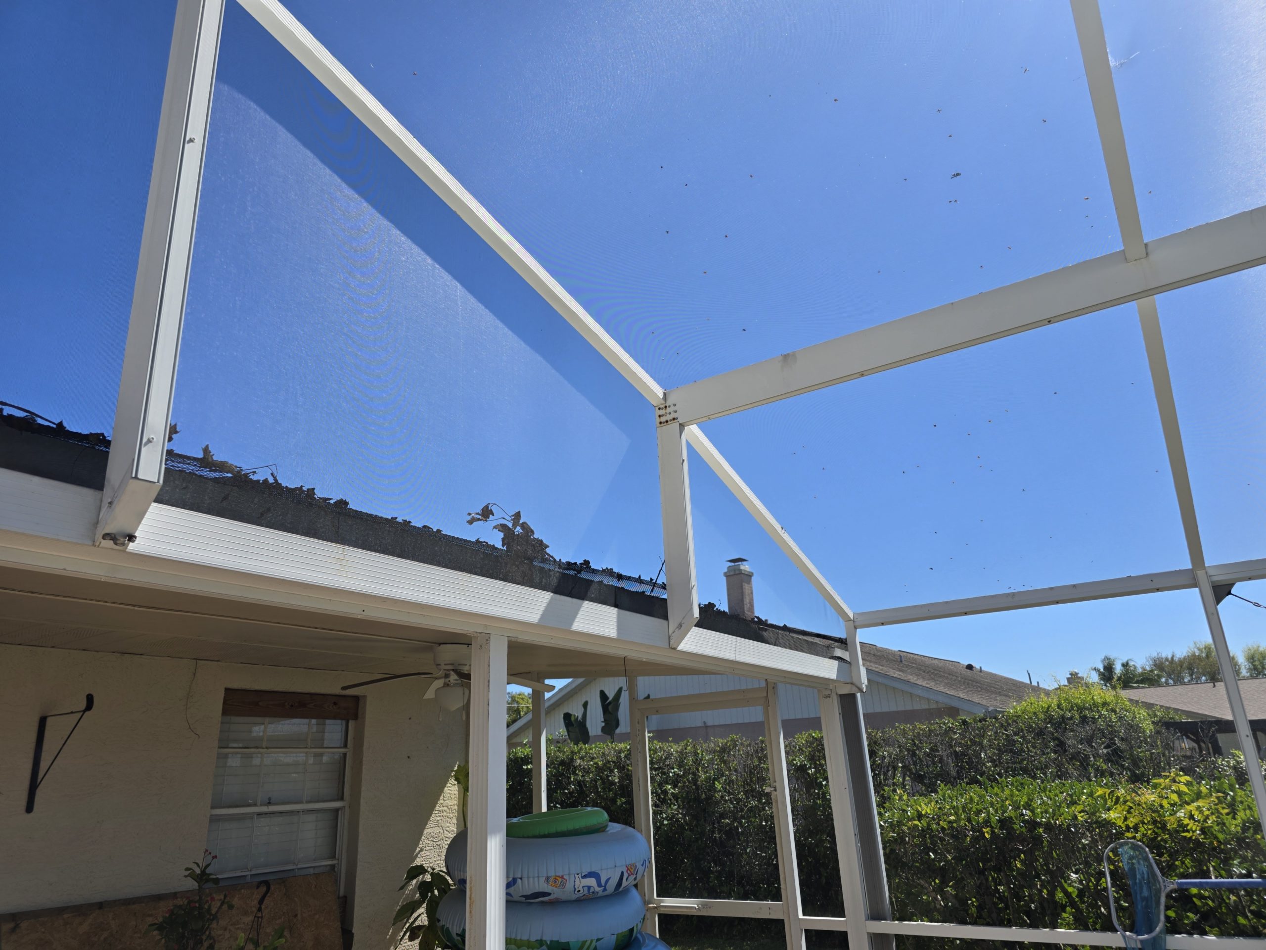 Pool cage frame cleaning!